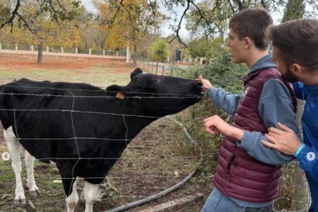 Respiro Fin de Semana Fundación AVA – Albergue Granja Puerta del Campo