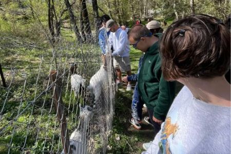 Respiro Fin de Semana Fundación AVA – Albergue Valle Abedules