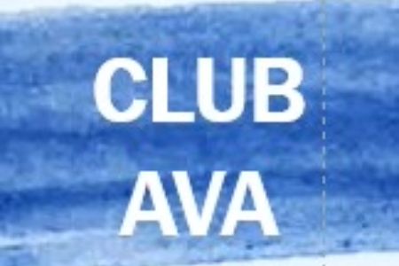 Actividades de Fundación AVA para mejorar la calidad de vida de niños con discapacidad intelectual