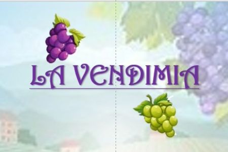 Actividades de Fundación AVA para mejorar la calidad de vida de niños con discapacidad intelectual