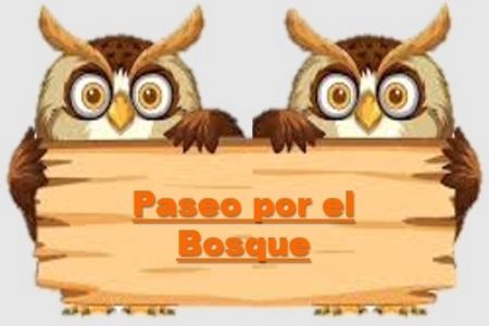 Actividades de Fundación AVA para mejorar la calidad de vida de niños con discapacidad intelectual