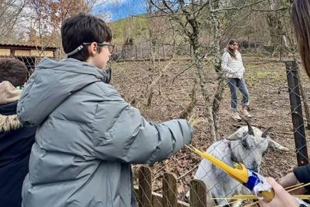 Actividades de Fundación AVA para mejorar la calidad de vida de niños con discapacidad intelectual