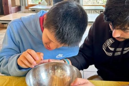 Actividades de Fundación AVA para mejorar la calidad de vida de niños con discapacidad intelectual
