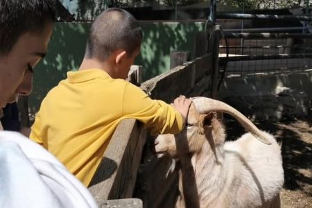 Actividades de Fundación AVA para mejorar la calidad de vida de niños con discapacidad intelectual