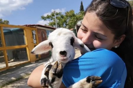 Actividades de Fundación AVA para mejorar la calidad de vida de niños con discapacidad intelectual