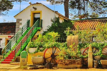 Respiro Fin de Semana Fundación AVA – Granja El Palomar. Zona de Padres Fundación AVA