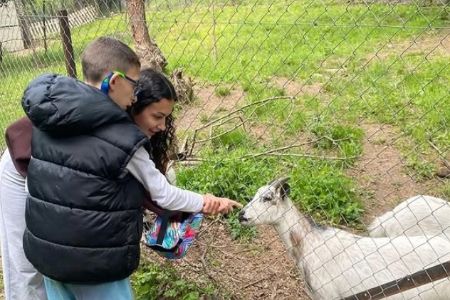 Actividades de Fundación AVA para mejorar la calidad de vida de niños con discapacidad intelectual