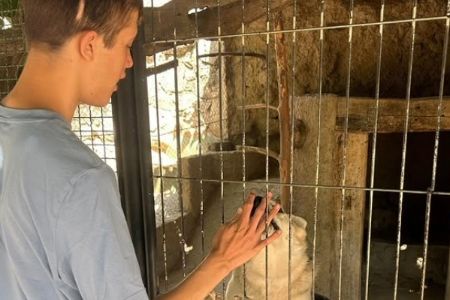 Actividades de Fundación AVA para mejorar la calidad de vida de niños con discapacidad intelectual