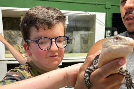 Actividades de Fundación AVA para mejorar la calidad de vida de niños con discapacidad intelectual