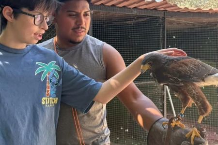 Actividades de Fundación AVA para mejorar la calidad de vida de niños con discapacidad intelectual