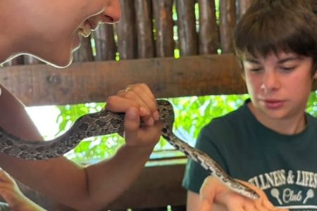 Actividades de Fundación AVA para mejorar la calidad de vida de niños con discapacidad intelectual