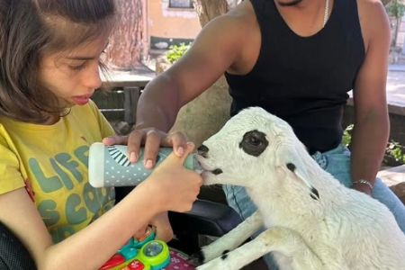 Actividades de Fundación AVA para mejorar la calidad de vida de niños con discapacidad intelectual