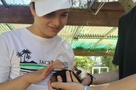 Actividades de Fundación AVA para mejorar la calidad de vida de niños con discapacidad intelectual
