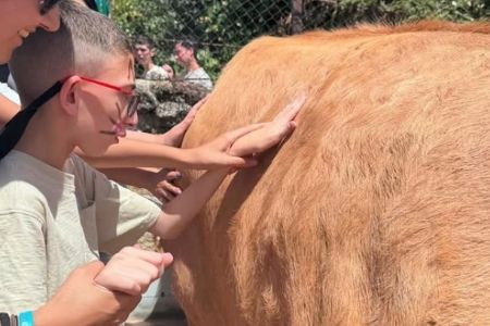 Actividades de Fundación AVA para mejorar la calidad de vida de niños con discapacidad intelectual